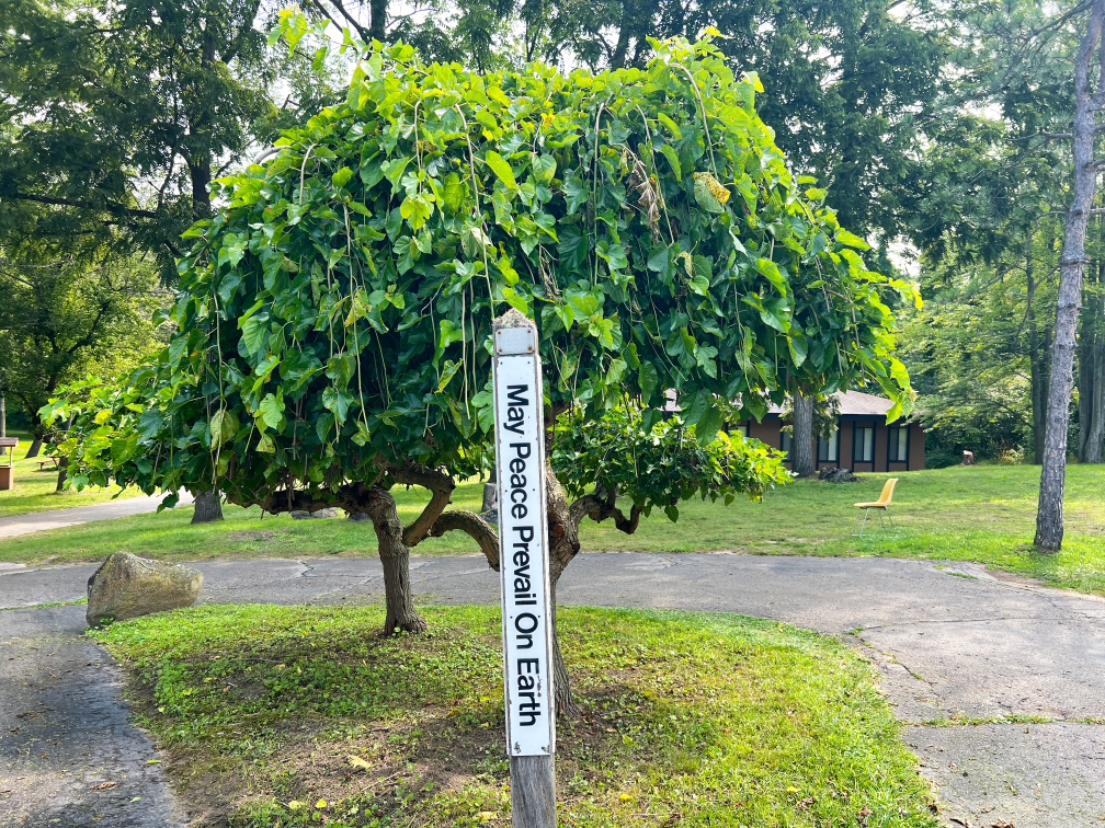 the Peace on Earth sign on the Fowler Center grounds