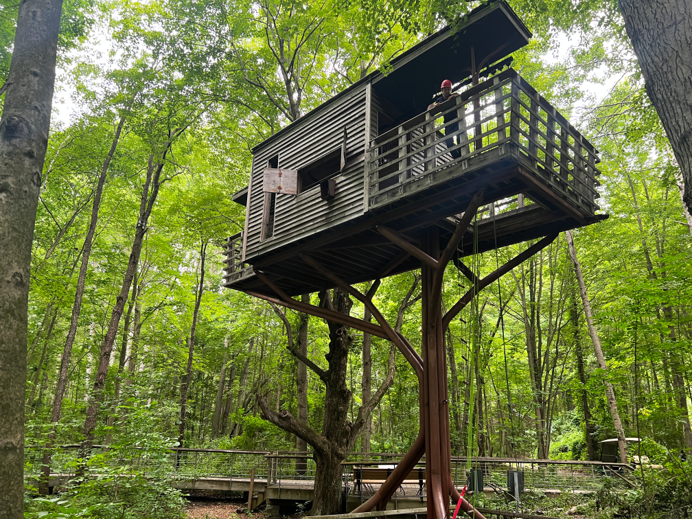 Treehouse-activities The Fowler Center has a treehouse that disabled kids can climb.